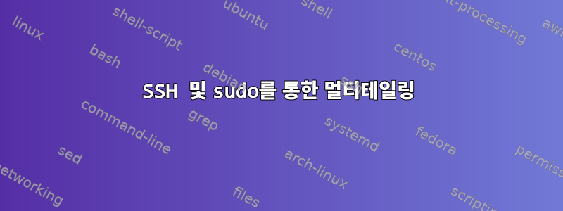 SSH 및 sudo를 통한 멀티테일링