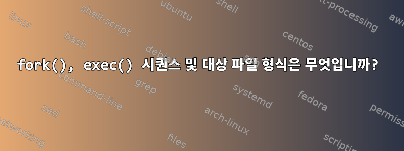 fork(), exec() 시퀀스 및 대상 파일 형식은 무엇입니까?