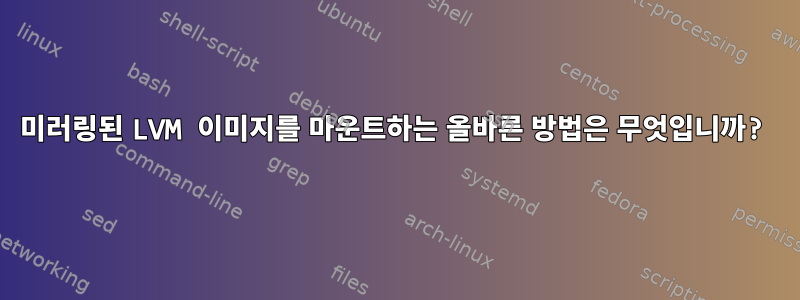 미러링된 LVM 이미지를 마운트하는 올바른 방법은 무엇입니까?