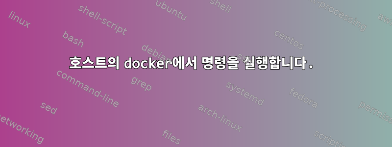 호스트의 docker에서 명령을 실행합니다.