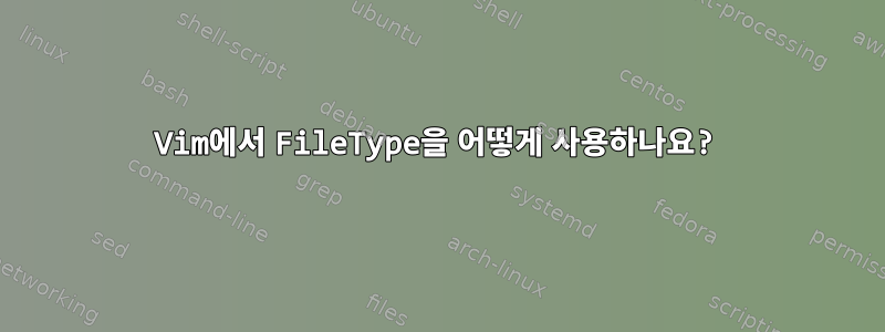 Vim에서 FileType을 어떻게 사용하나요?