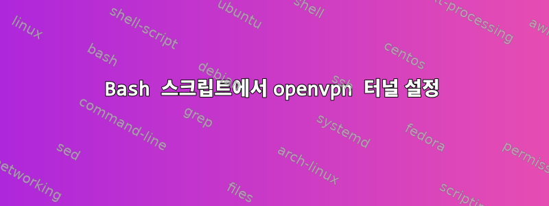 Bash 스크립트에서 openvpn 터널 설정