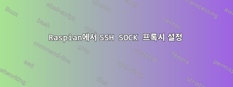 Raspian에서 SSH SOCK 프록시 설정