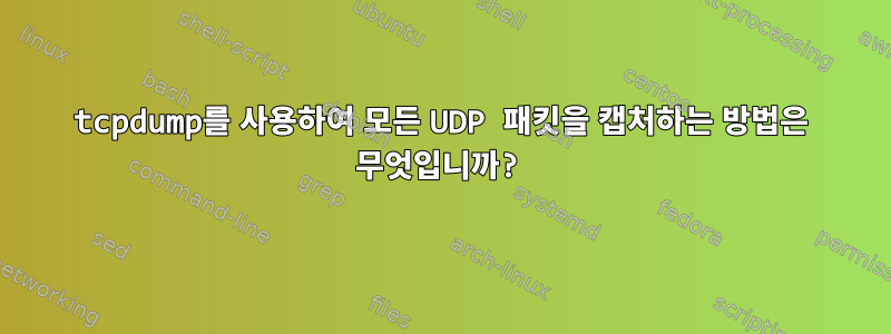 tcpdump를 사용하여 모든 UDP 패킷을 캡처하는 방법은 무엇입니까?