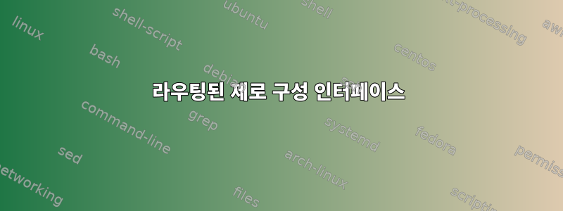 라우팅된 제로 구성 인터페이스