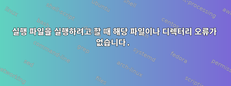 실행 파일을 실행하려고 할 때 해당 파일이나 디렉터리 오류가 없습니다.