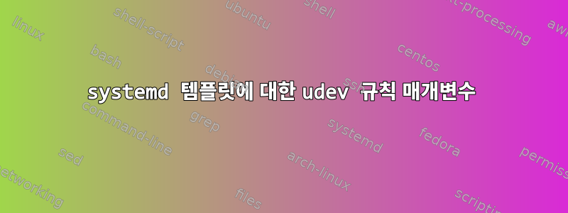 systemd 템플릿에 대한 udev 규칙 매개변수