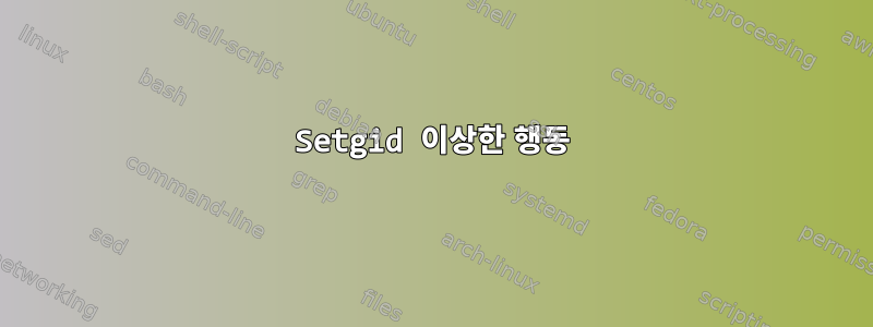 Setgid 이상한 행동