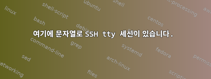 여기에 문자열로 SSH tty 세션이 있습니다.