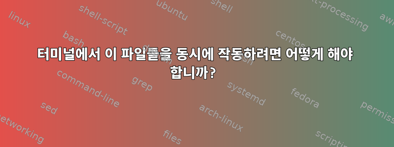 터미널에서 이 파일들을 동시에 작동하려면 어떻게 해야 합니까?