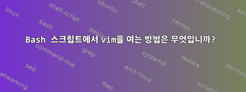 Bash 스크립트에서 vim을 여는 방법은 무엇입니까?