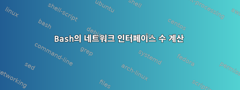 Bash의 네트워크 인터페이스 수 계산