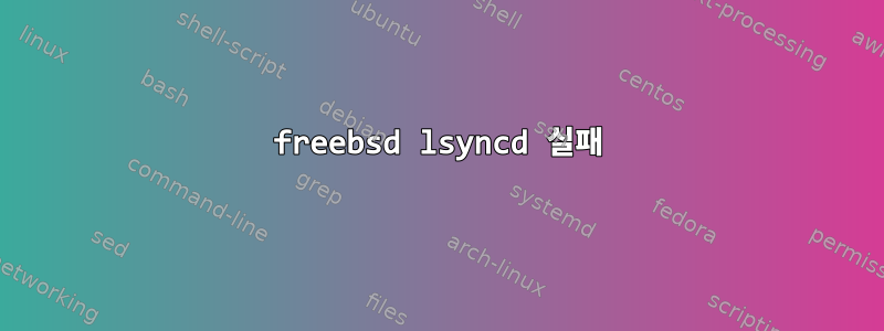 freebsd lsyncd 실패