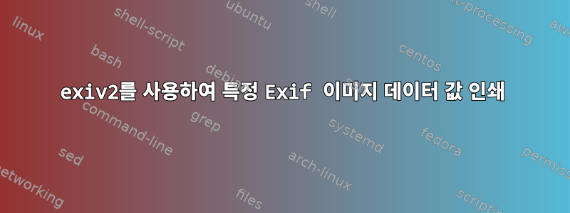 exiv2를 사용하여 특정 Exif 이미지 데이터 값 인쇄