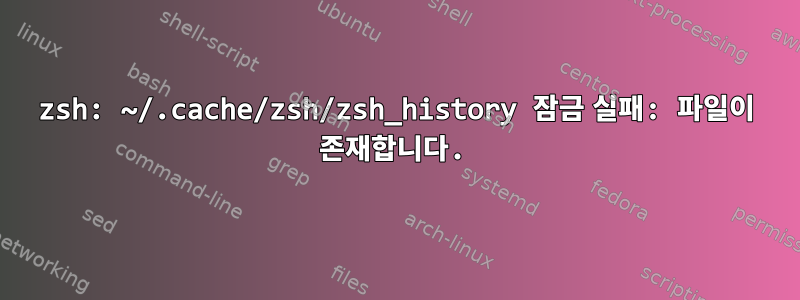 zsh: ~/.cache/zsh/zsh_history 잠금 실패: 파일이 존재합니다.