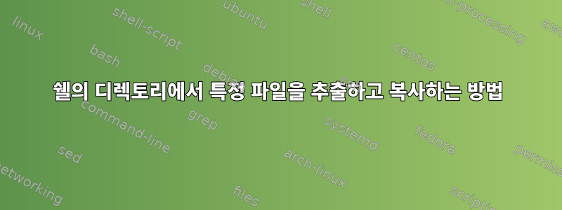 쉘의 디렉토리에서 특정 파일을 추출하고 복사하는 방법