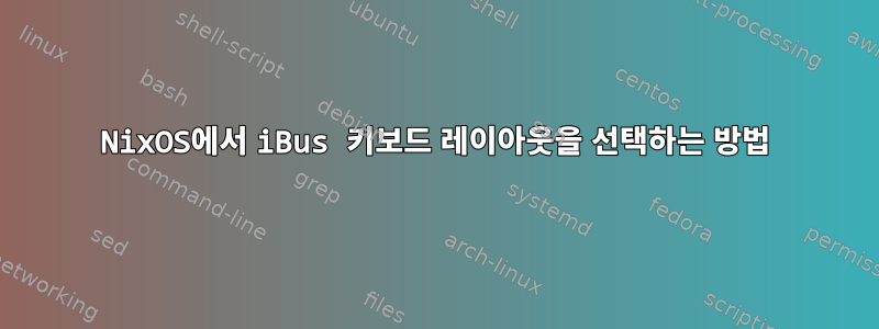 NixOS에서 iBus 키보드 레이아웃을 선택하는 방법