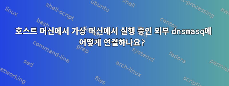 호스트 머신에서 가상 머신에서 실행 중인 외부 dnsmasq에 어떻게 연결하나요?