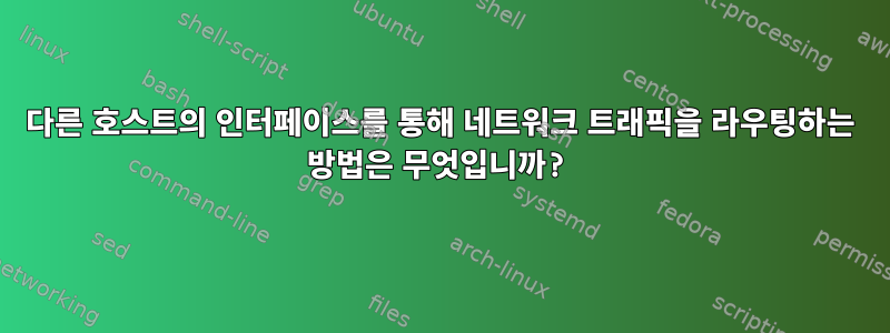 다른 호스트의 인터페이스를 통해 네트워크 트래픽을 라우팅하는 방법은 무엇입니까?