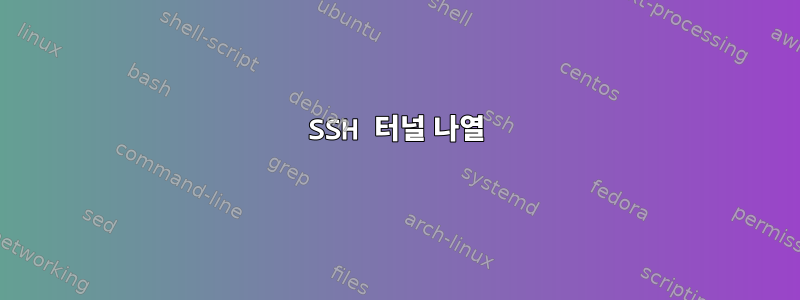 SSH 터널 나열