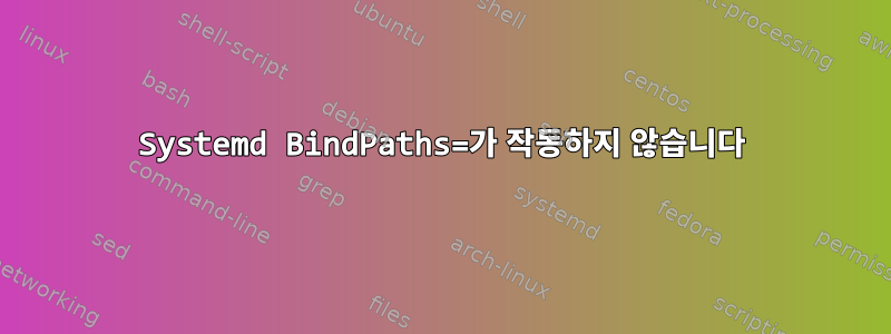 Systemd BindPaths=가 작동하지 않습니다