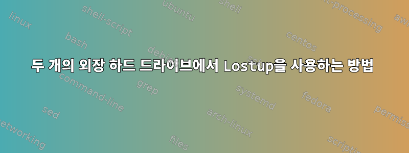 두 개의 외장 하드 드라이브에서 Lostup을 사용하는 방법