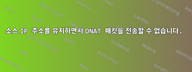 소스 IP 주소를 유지하면서 DNAT 패킷을 전송할 수 없습니다.