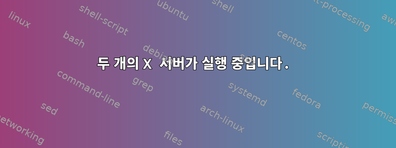 두 개의 X 서버가 실행 중입니다.