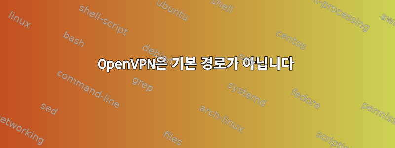 OpenVPN은 기본 경로가 아닙니다