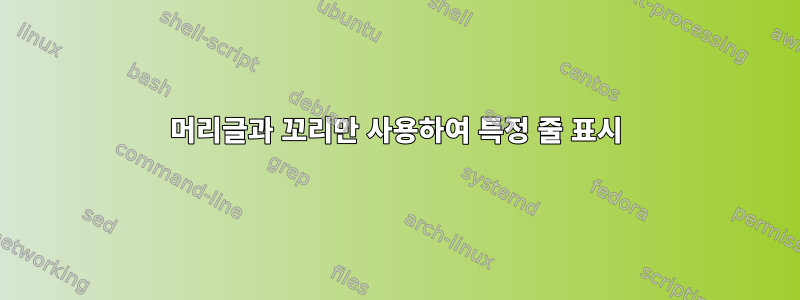 머리글과 꼬리만 사용하여 특정 줄 표시