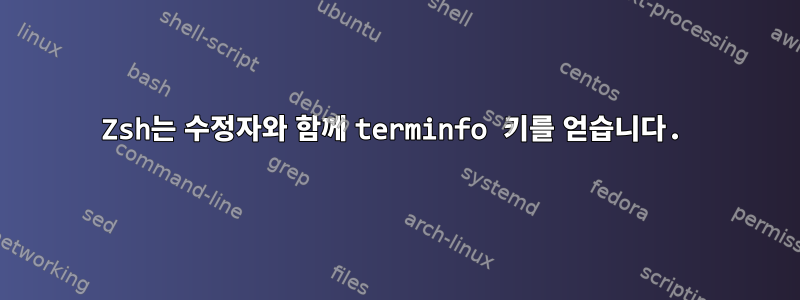 Zsh는 수정자와 함께 terminfo 키를 얻습니다.