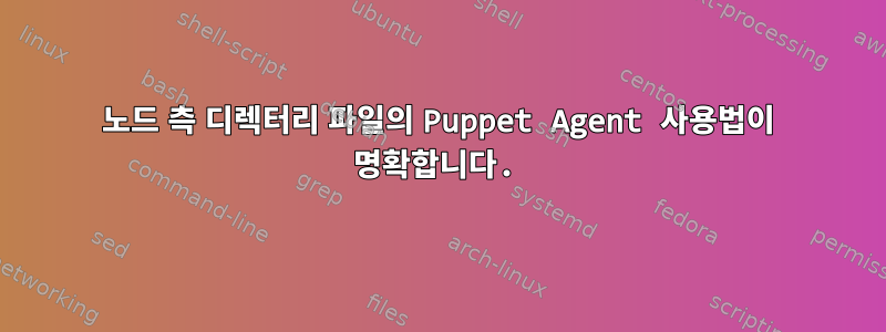 노드 측 디렉터리 파일의 Puppet Agent 사용법이 명확합니다.