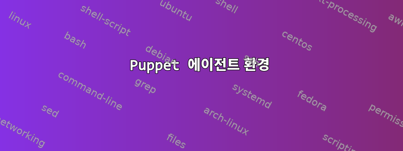 Puppet 에이전트 환경