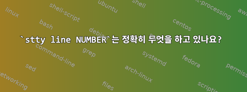 `stty line NUMBER`는 정확히 무엇을 하고 있나요?