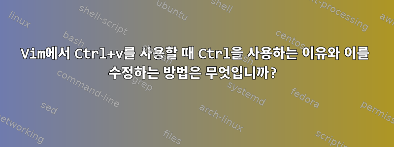 Vim에서 Ctrl+v를 사용할 때 Ctrl을 사용하는 이유와 이를 수정하는 방법은 무엇입니까?