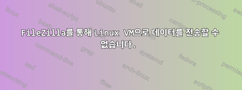 FileZilla를 통해 Linux VM으로 데이터를 전송할 수 없습니다.