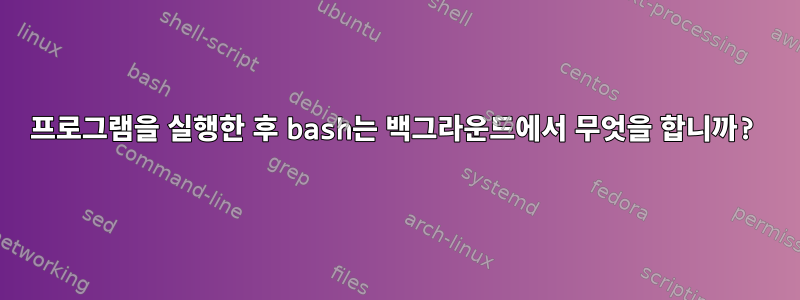 프로그램을 실행한 후 bash는 백그라운드에서 무엇을 합니까?