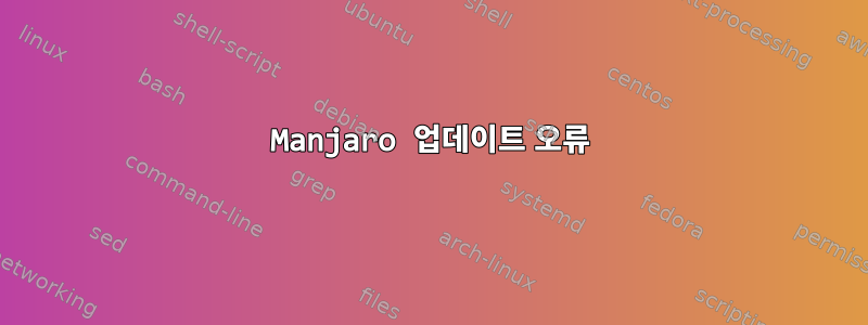 Manjaro 업데이트 오류