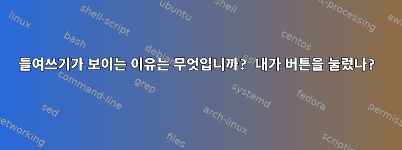 들여쓰기가 보이는 이유는 무엇입니까? 내가 버튼을 눌렀나?