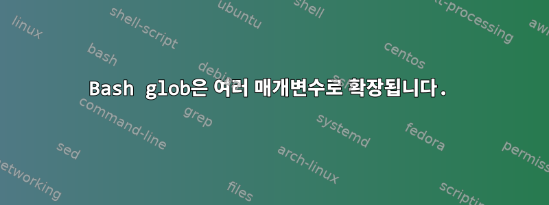 Bash glob은 여러 매개변수로 확장됩니다.