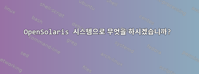 OpenSolaris 시스템으로 무엇을 하시겠습니까?