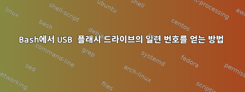 Bash에서 USB 플래시 드라이브의 일련 번호를 얻는 방법