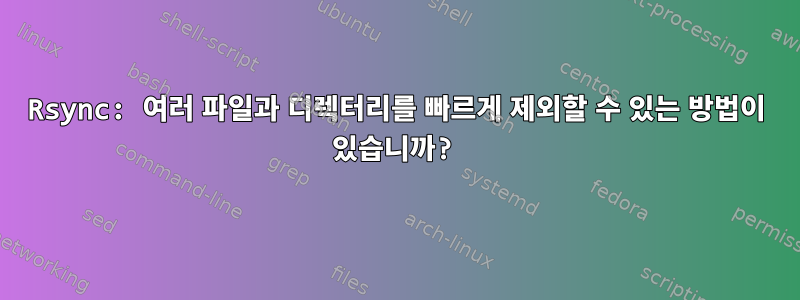 Rsync: 여러 파일과 디렉터리를 빠르게 제외할 수 있는 방법이 있습니까?