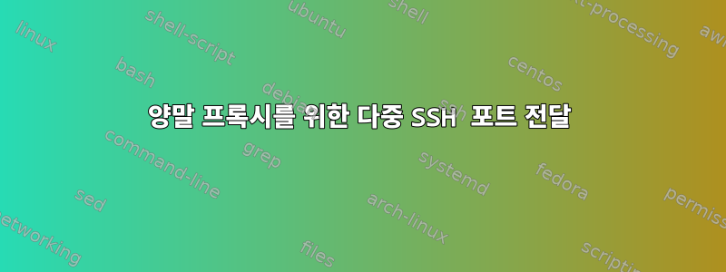 양말 프록시를 위한 다중 SSH 포트 전달