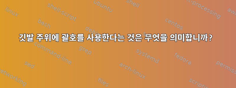 깃발 주위에 괄호를 사용한다는 것은 무엇을 의미합니까?