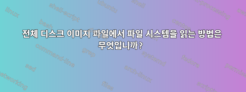 전체 디스크 이미지 파일에서 파일 시스템을 읽는 방법은 무엇입니까?