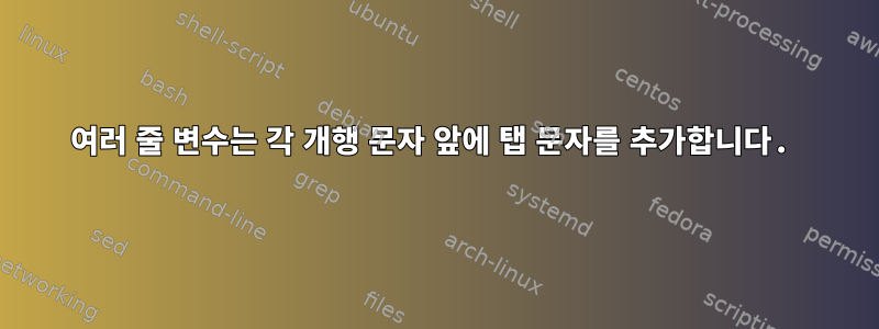 여러 줄 변수는 각 개행 문자 앞에 탭 문자를 추가합니다.