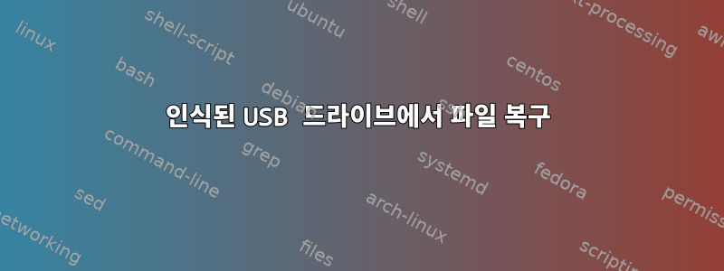 인식된 USB 드라이브에서 파일 복구