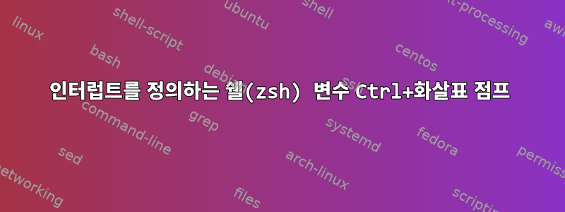 인터럽트를 정의하는 쉘(zsh) 변수 Ctrl+화살표 점프