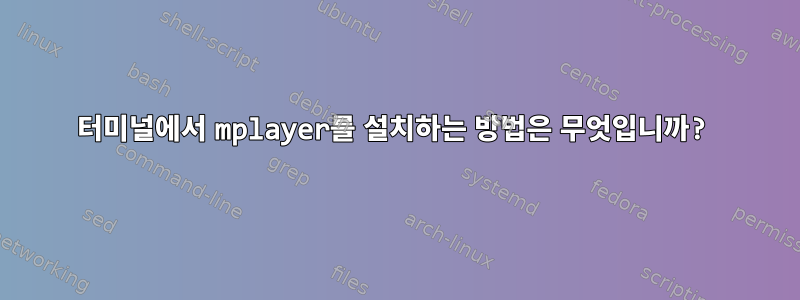 터미널에서 mplayer를 설치하는 방법은 무엇입니까?